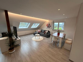 Schöne, neu renovierte Wohnung